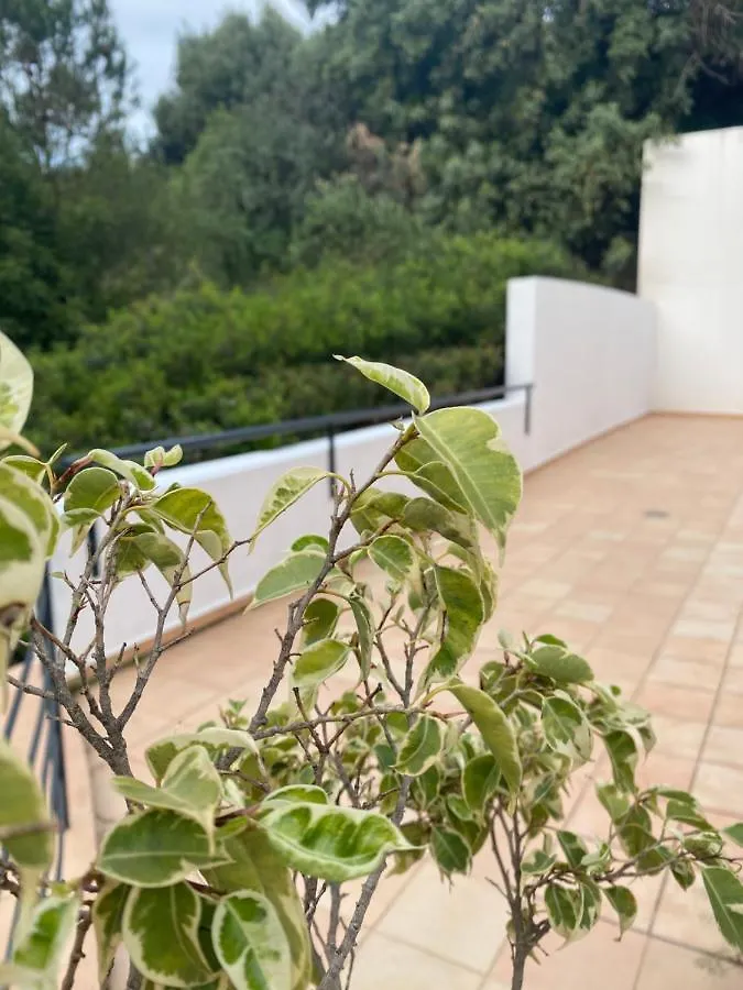 Isbel Apartment Benalmadena Spain